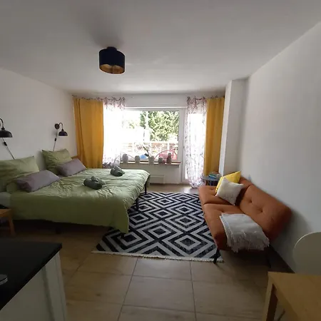 Gemuetliche Koelsche Studio-wohnung 科隆